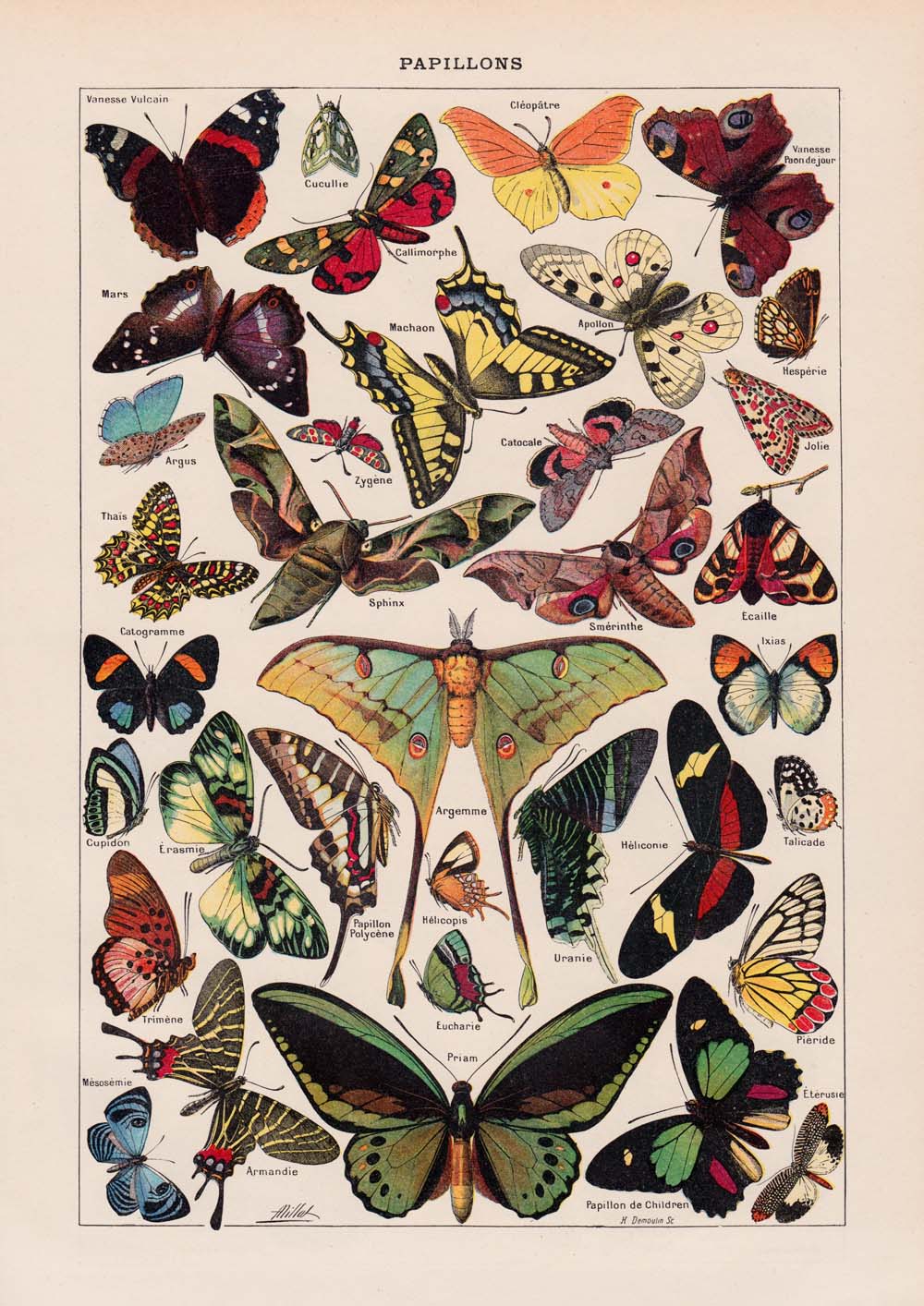 Vintage Butterfly Posters "PAPILLONS" Set of 3 Prints
