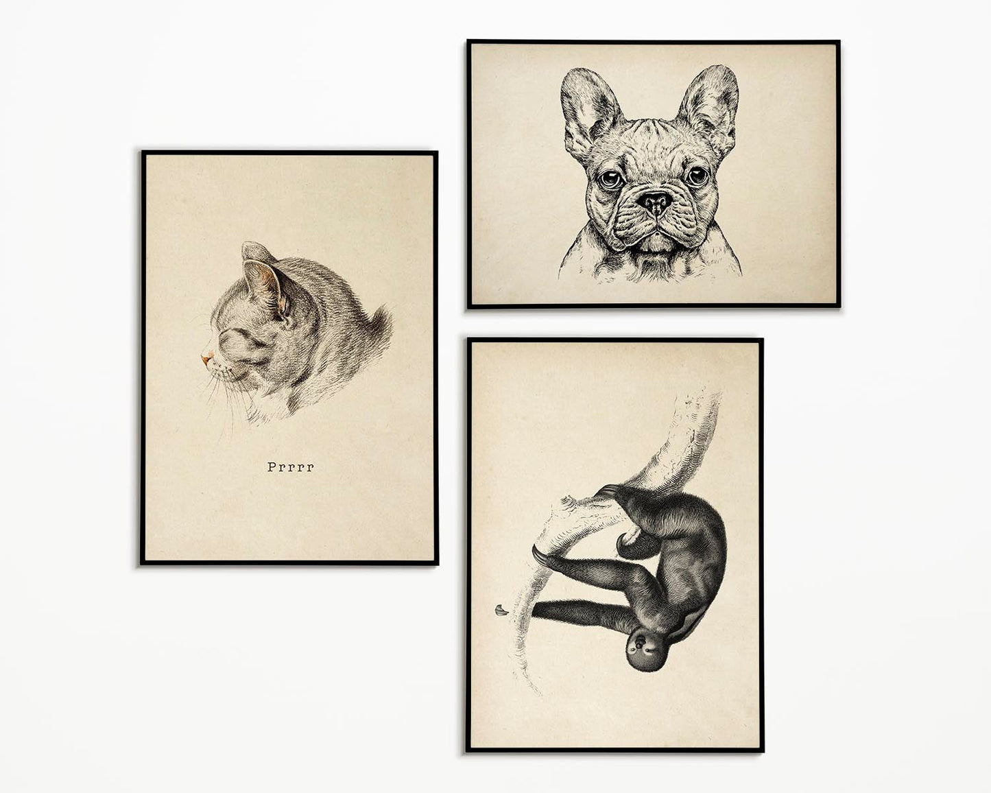 Vintage Animals Tryptic, Series 1 (Set of 3 Prints)