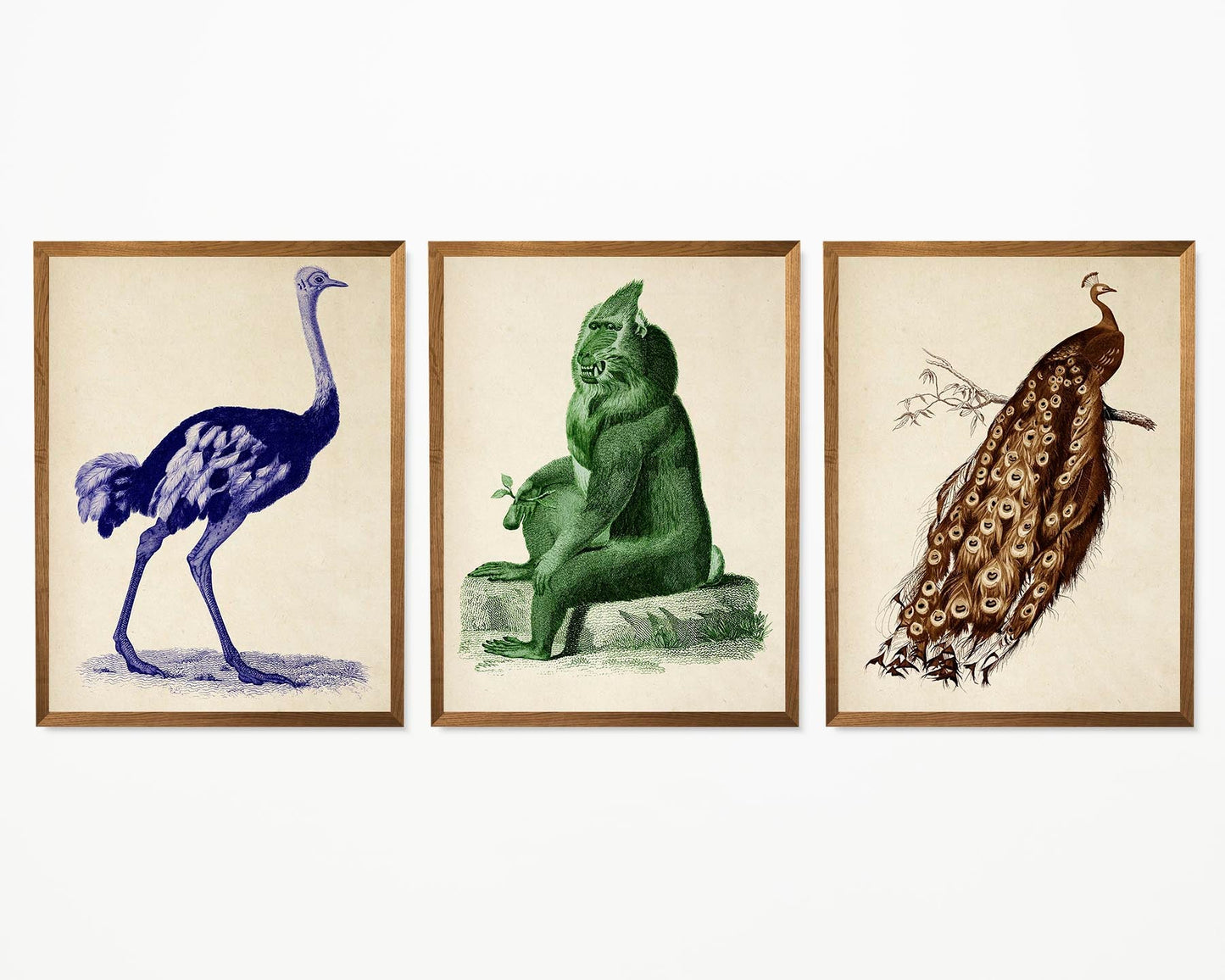 Colorful Wild Animals Set of 3 Poster