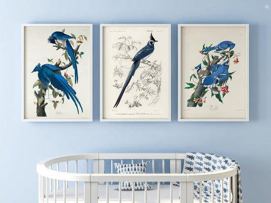 Blue Birds Set of 3 Prints