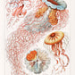 Vintage Orange Science and Nature Triptych (Set of 3 Prints)