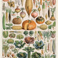 Legumes and Veggies Set of 3 Prints