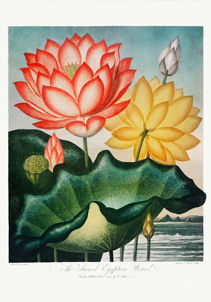 Temple of Flora Set of 3 Prints