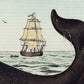 Moby Dick Scene Vintage Poster Triptych (set of three)