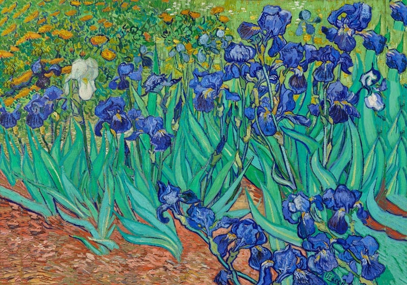 Irises 1889 by Vincent Van Gogh