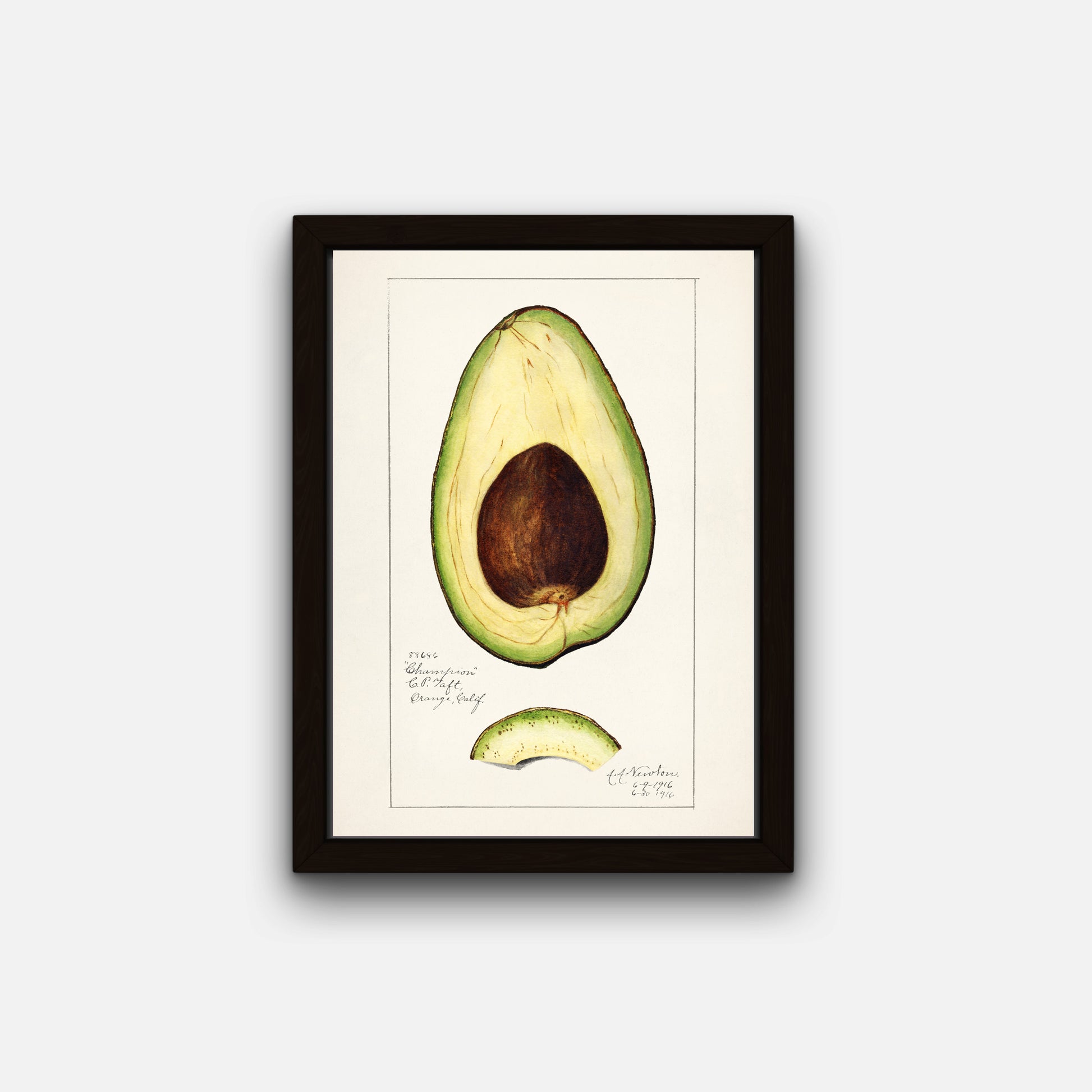 Vintage Avocado Art Print
