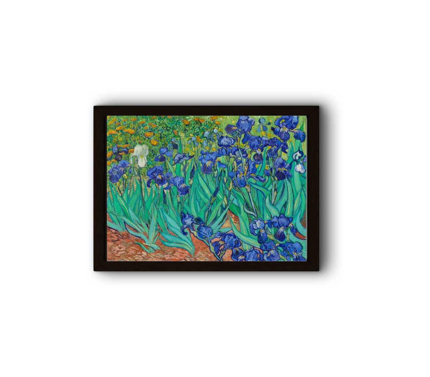 Vincent Van Gogh Irises 1889 - Digital Download Wall Art