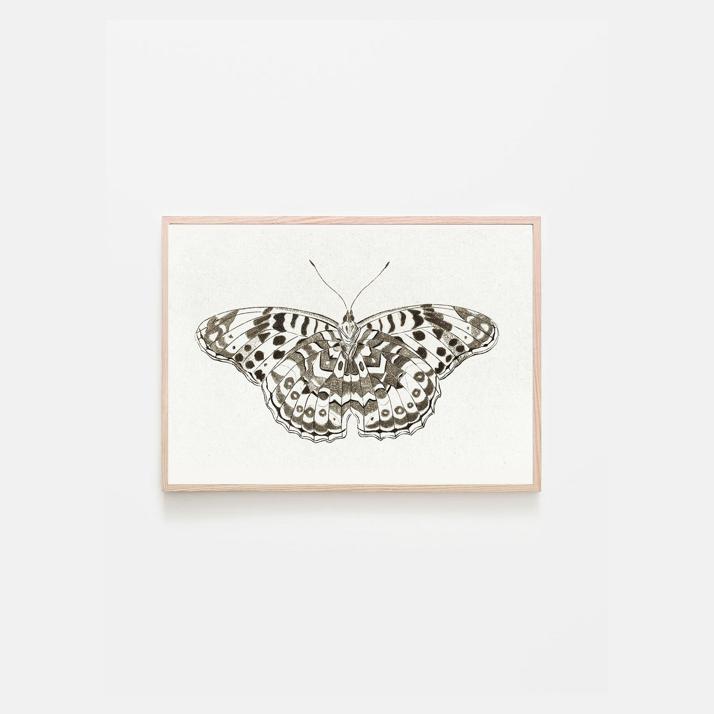 Black & White Geometric Butterfly – Vlinder by Cornelis Ploos van Amstel