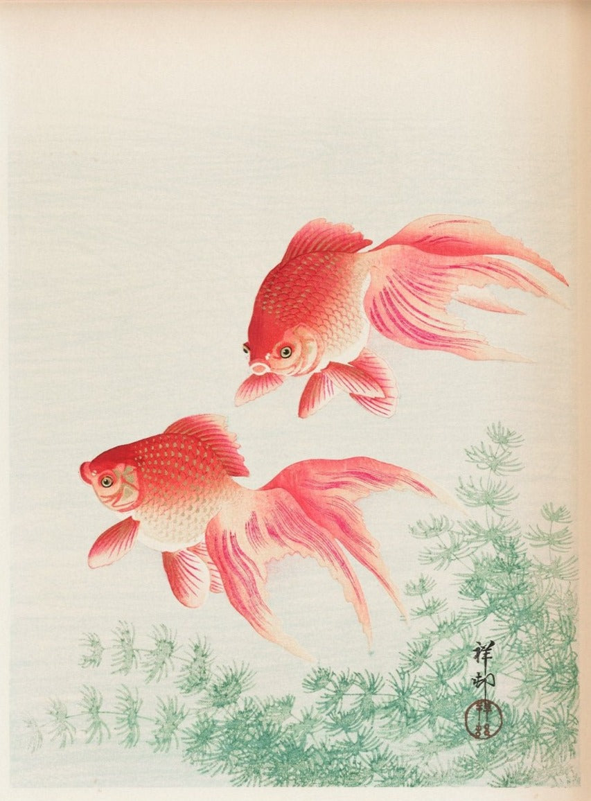 Two veil goldfish (1926) by Ohara Koson (1877-1945)