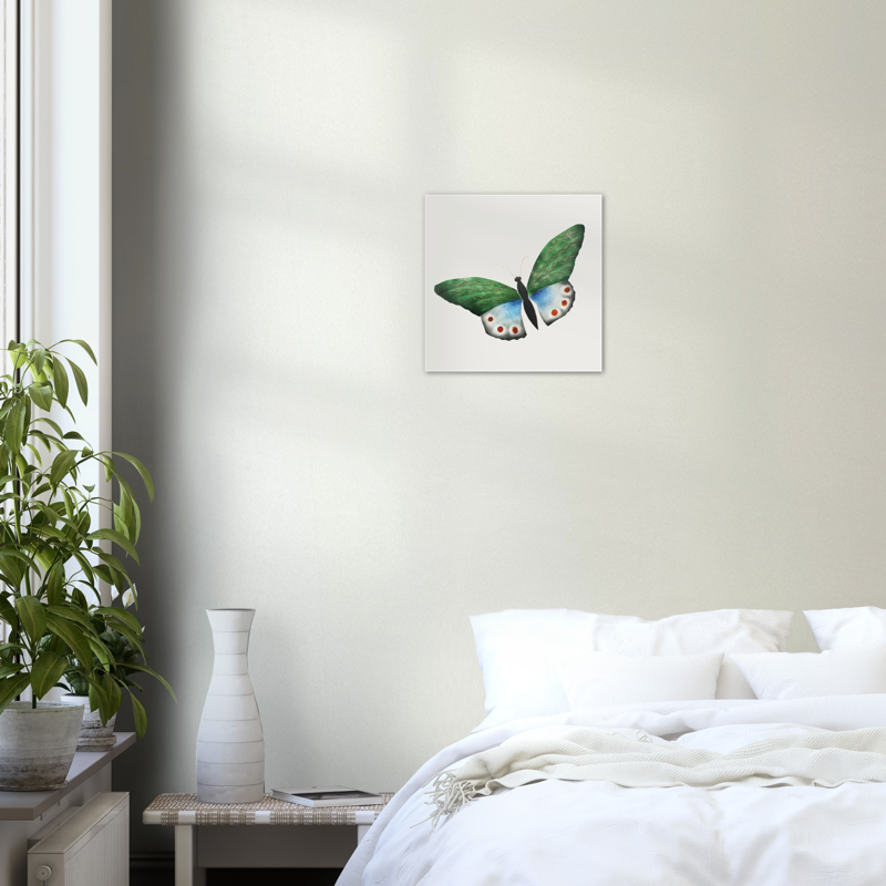 Green Butterfly Illustration by Mary Altha Nims, Square