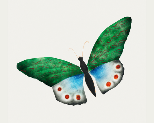 Green Butterfly Illustration by Mary Altha Nims, Rectangle