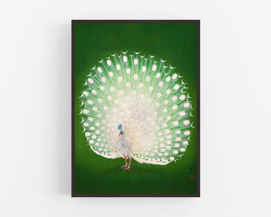 Green Peacock by Ohara Koson