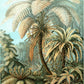 Palm Tree II (Filicinae–Laubfarne)  by Ernst Haeckel