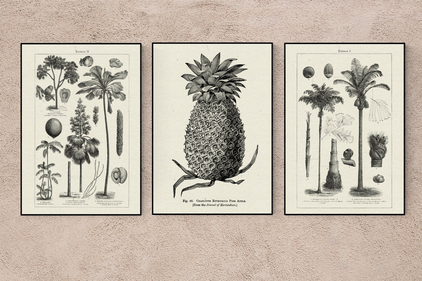 Tropicalia Vibes Poster - Set with 3 beautiful Poster for your decor