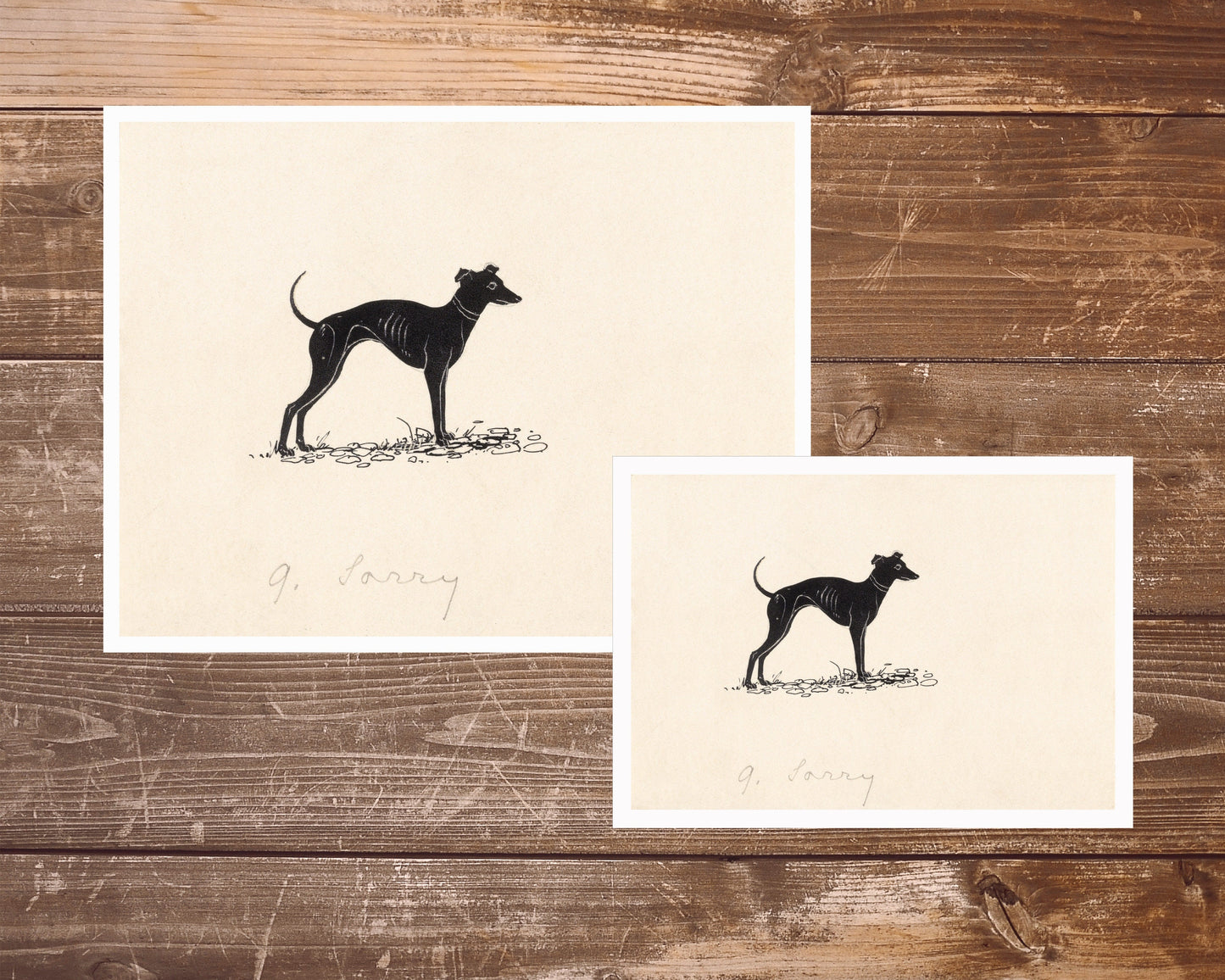 Vintage dog fine art print | Greyhound art | Canine illustration |  Modern vintage décor | Ready to frame & gift
