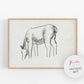 Vintage horse fine art print | Horse study sketch | Animal art |  Modern vintage décor | Leo Gestel | Ready to frame & gift