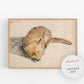 Vintage fox fine art print | Sleeping fox | Animal art | 17th century illustration |  Modern vintage décor | Ready to frame & gift