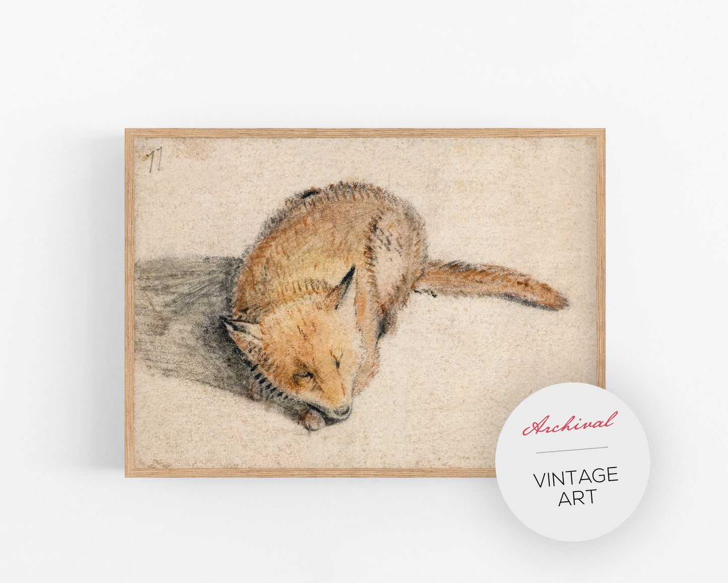 Vintage fox fine art print | Sleeping fox | Animal art | 17th century illustration |  Modern vintage décor | Ready to frame & gift