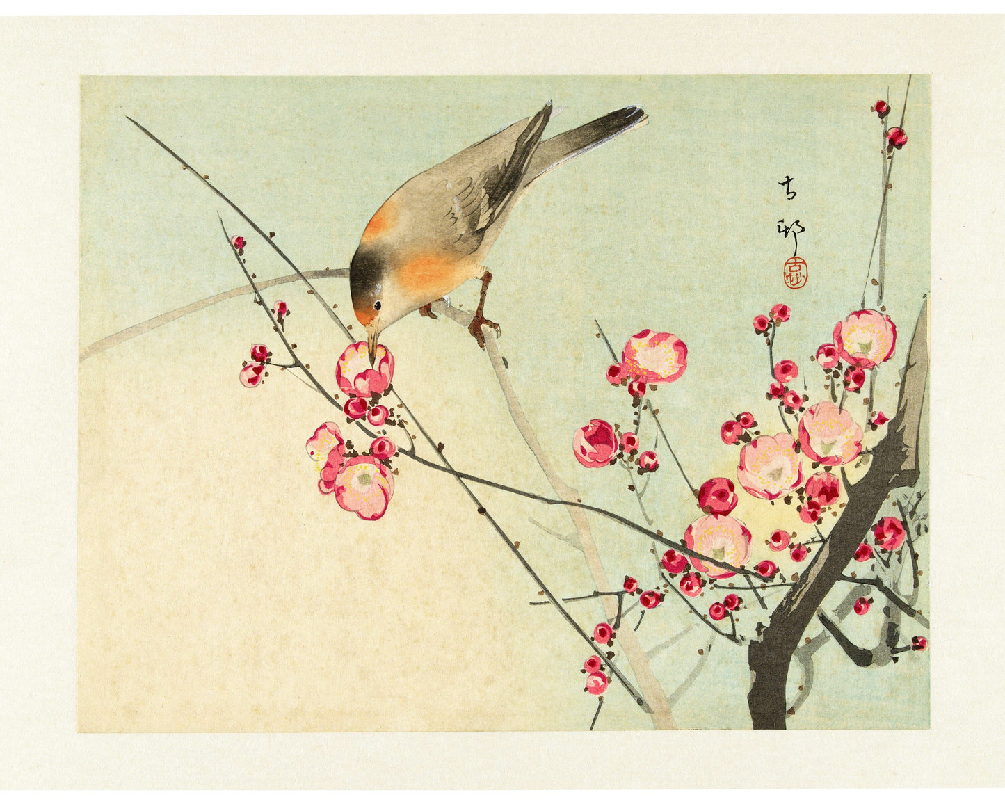 Vintage songbird on blossom branch  | Giclée fine art print | Animal and nature art | Modern Vintage decor | Eco-friendly gift