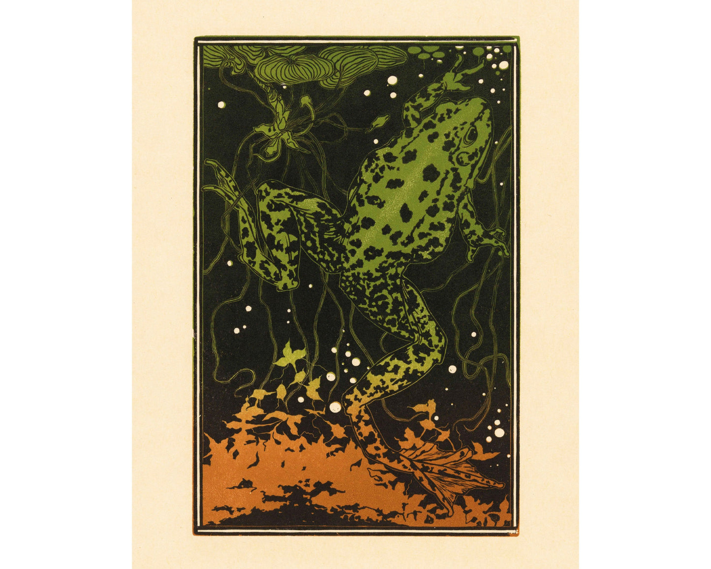 Vintage leopard frog fine art print | Swimming toad wall art | Julie de Graag color woodcut | Animal and Nature art | Eco-friendly