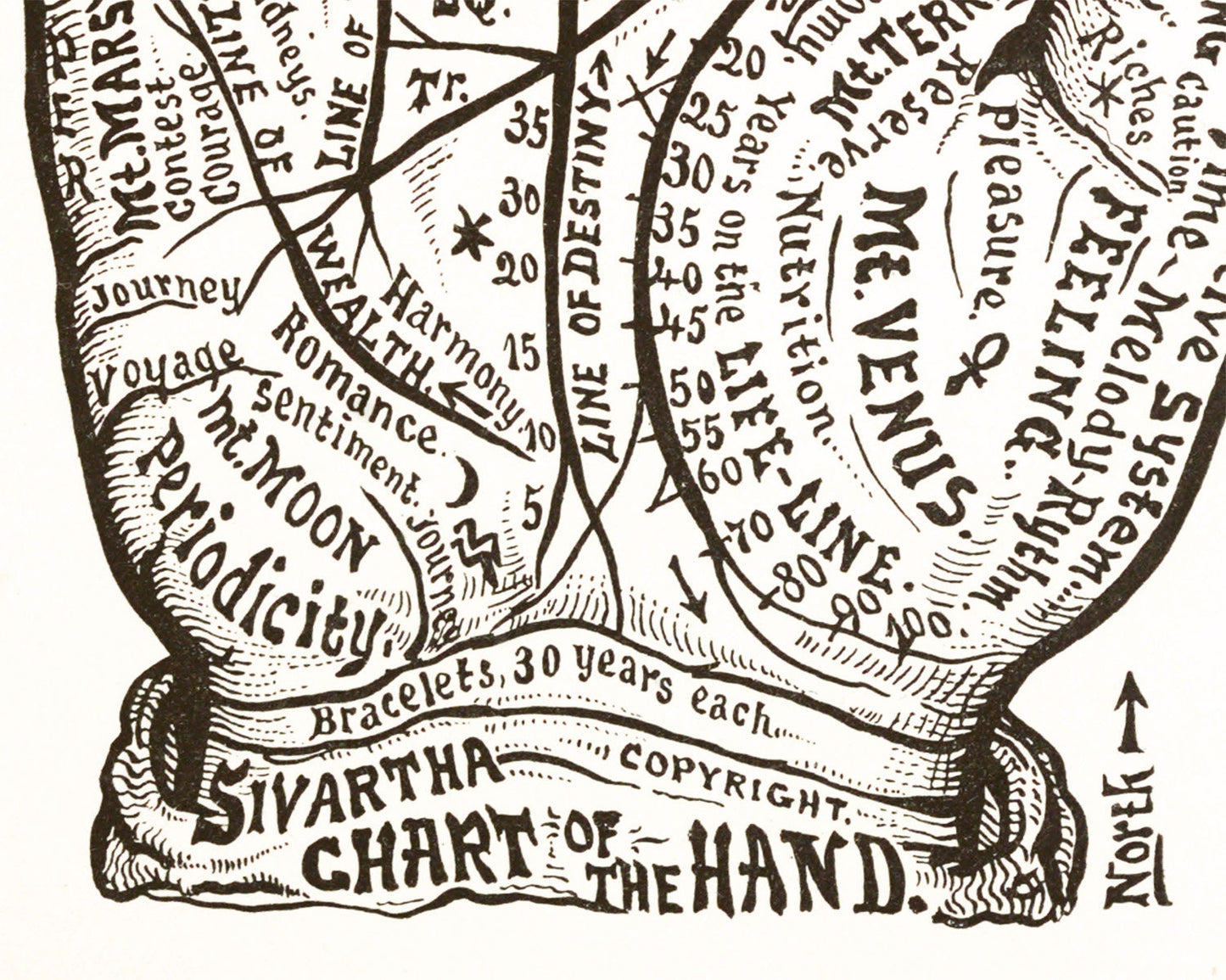 Vintage Astrologoy hand chart | Astro-phrenology art | Retro human hand illustration | Modern Vintage Décor | Eco-friendly gift