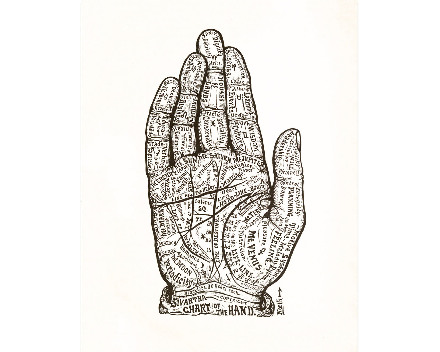 Vintage Astrologoy hand chart | Astro-phrenology art | Retro human hand illustration | Modern Vintage Décor | Eco-friendly gift