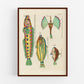 Antique fish art | 18th century natural history | Ocean, aquarium, tropical animal illustration | Vertical or horizontal | Eco-friendly gift