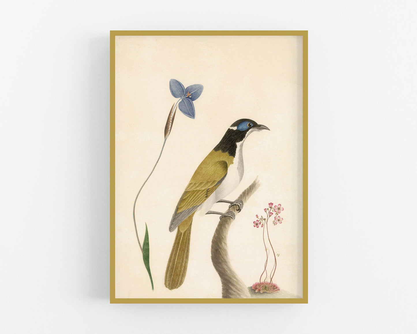 Antique bird and flower art | 18th century bird and plants | Natural history print | Animal décor | Modern vintage | Eco-friendly gift