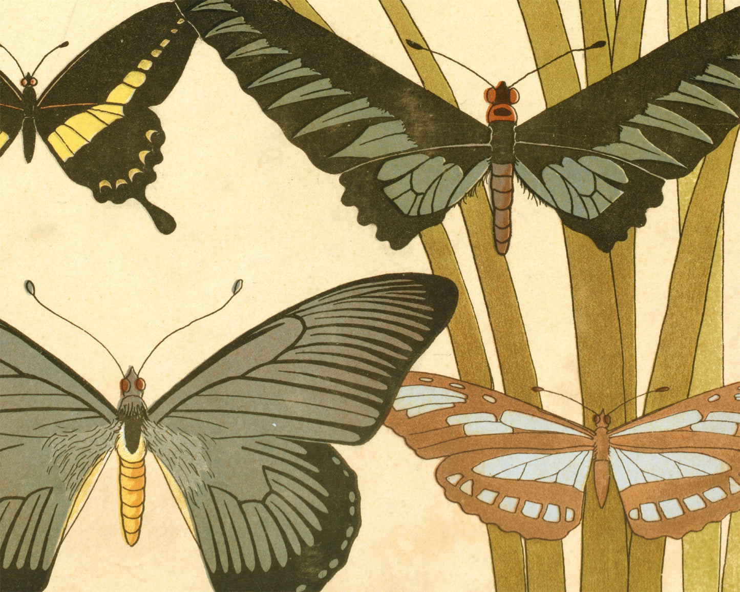 Art nouveau Butterfly & Dragonfly | L'animal dans la Décoration | Natural History art print | Modern vintage décor | Eco-friendly gift