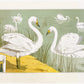 Art nouveau swan | Verneuil L'animal dans la Décoration | Water bird art | Natural History print | Modern vintage décor | Eco-friendly gift