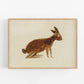 Bill Traylor Americana art | Brown rabbit | Farm folk art | African American self-taught artist | Modern vintage wall décor