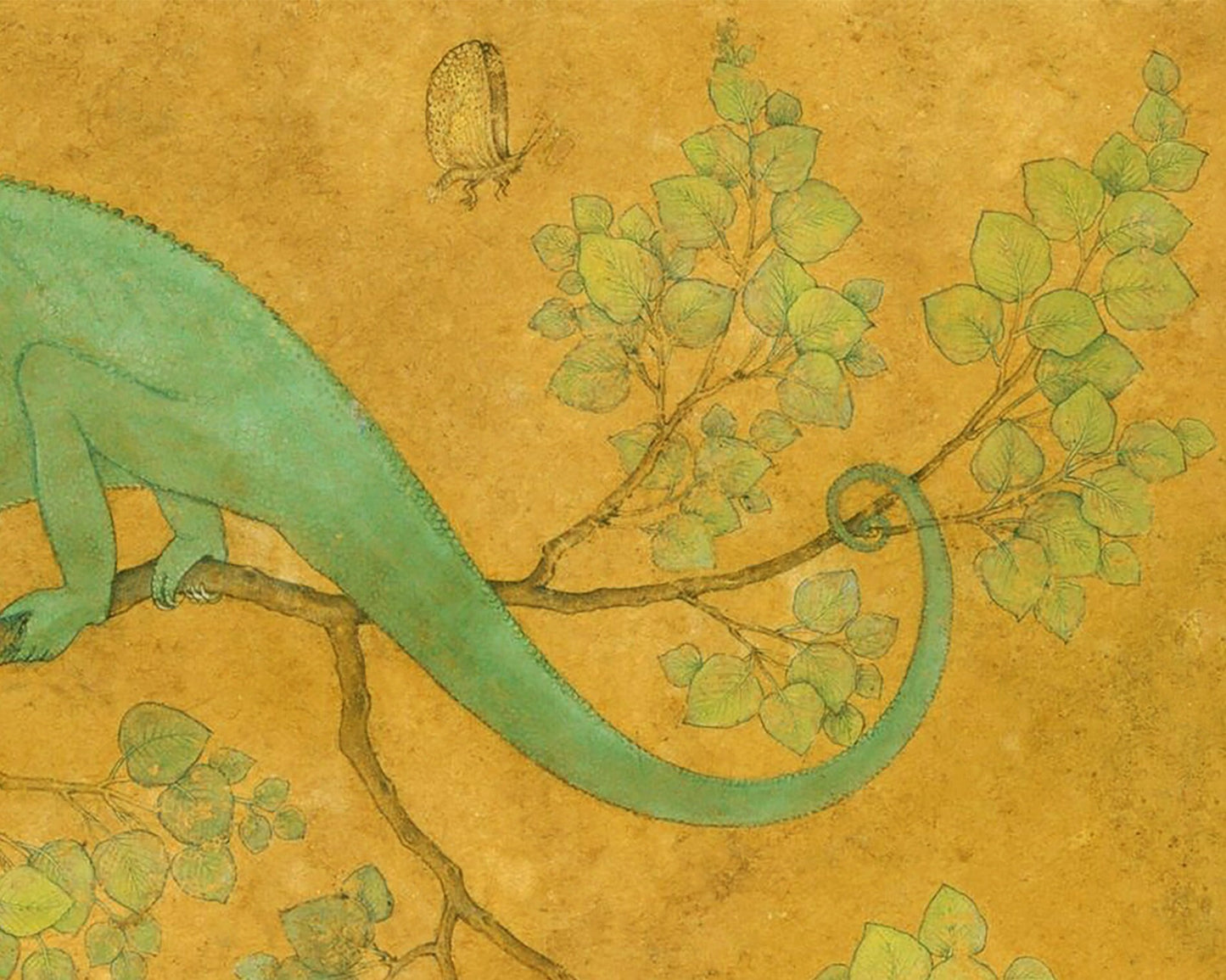 Chameleon in a tree | 17th century natural science | Antique Animal and Nature art | Indian painter Ustad Mansur | Eco-friendly