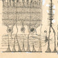 Vintage cell drawing | Santiago Ramón y Cajal | Retina of eye | Antique anatomical illustration | Neuroscience & Biology | Abstract art