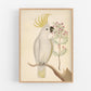 Antique cockatoo & flower art | 18th century bird illustration | Natural history | Animal wall décor | Modern vintage | Eco-friendly gift