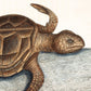 Antique Turtle art | 1754 Mark Catesby print | Natural history illustration | Water, ocean animal | Modern vintage décor | Eco-friendly gift
