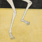 Vintage skeleton print | Katsukawa Shunsho sketch | 18th century Asian art | Human anatomy | Modern vintage décor | Eco-friendly gift