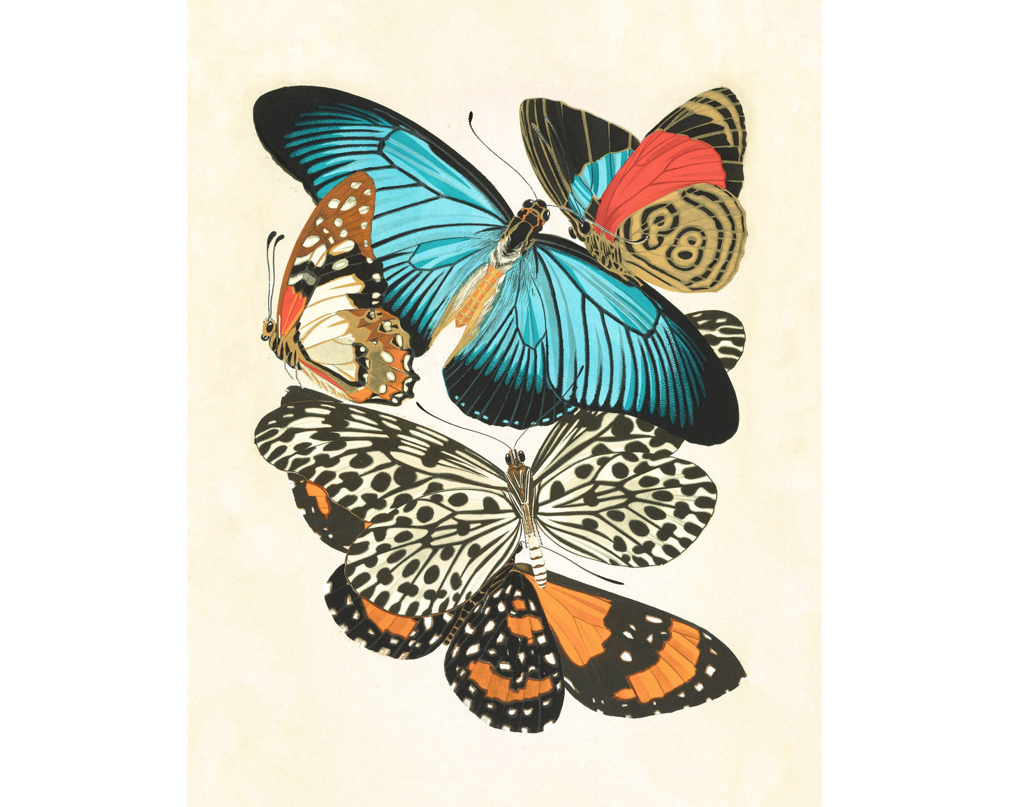 Vintage butterfly fine art print | Antique French papillons | Natural history wall art | Flying insect drawing | E.A. Séguy | Colorful print