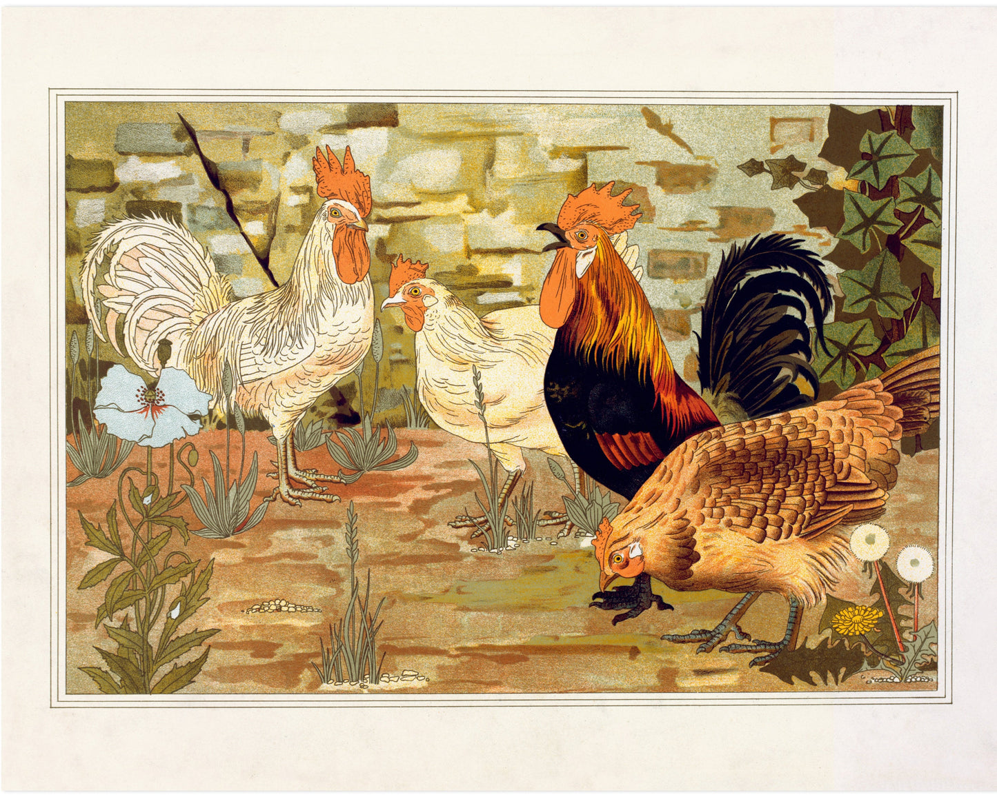 Art nouveau chicken | L'animal dans la Décoration | Farm animal print | Natural History art | Modern vintage décor | Eco-friendly gift