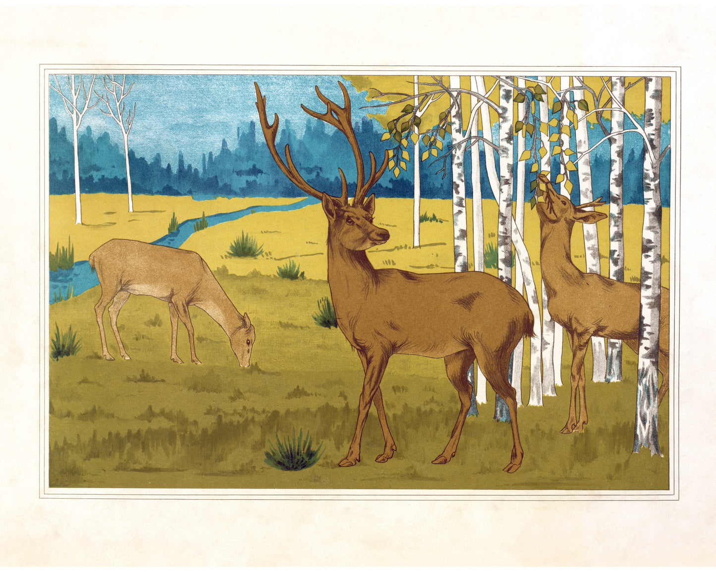 Art nouveau deer | L'animal dans la Décoration | Wild animal print | Natural History art | Modern vintage décor | Eco-friendly gift