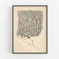 Vintage neuron drawing No. 1 | Santiago Ramón y Cajal | Antique anatomical illustration | Neuroscience & Biology | Abstract art | Spanish artist