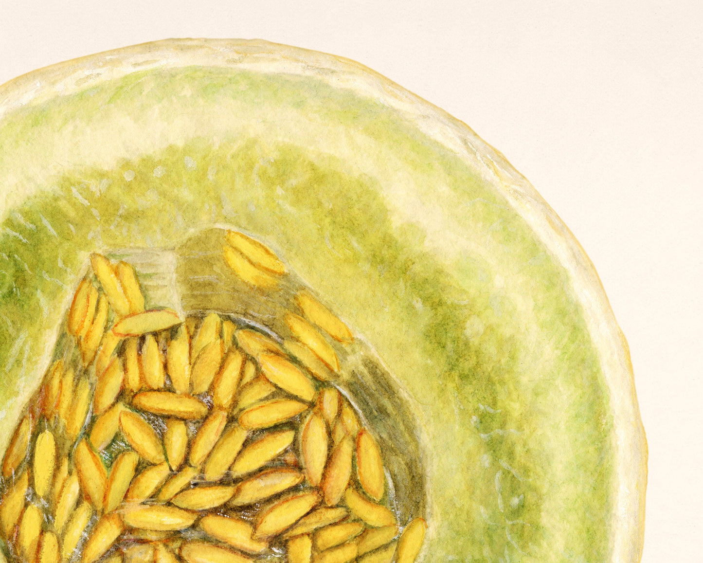 Fruit fine art print | Melon painting | Honey dew illustration | Female artist | Food and kitchen wall art | Minimalist art | Dept. of Ag