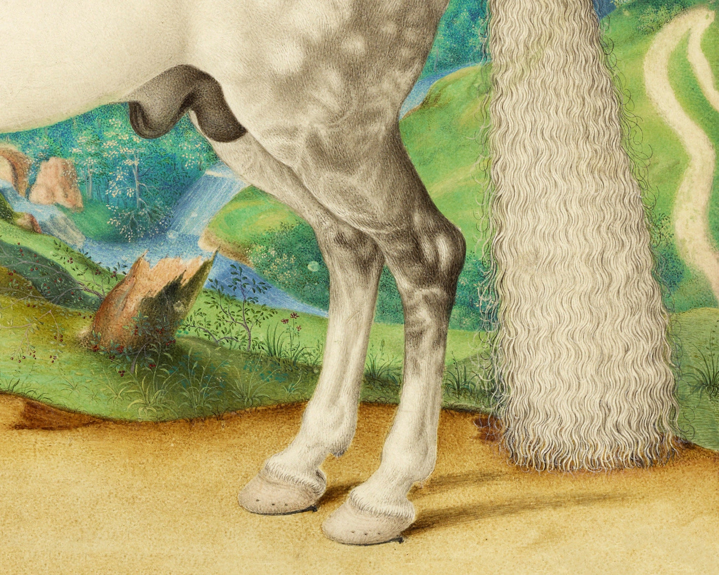 White horse art print | Antique dappled grey stallion | Animal fine art | Vintage equine painting | Horse wall art | Lipizzan