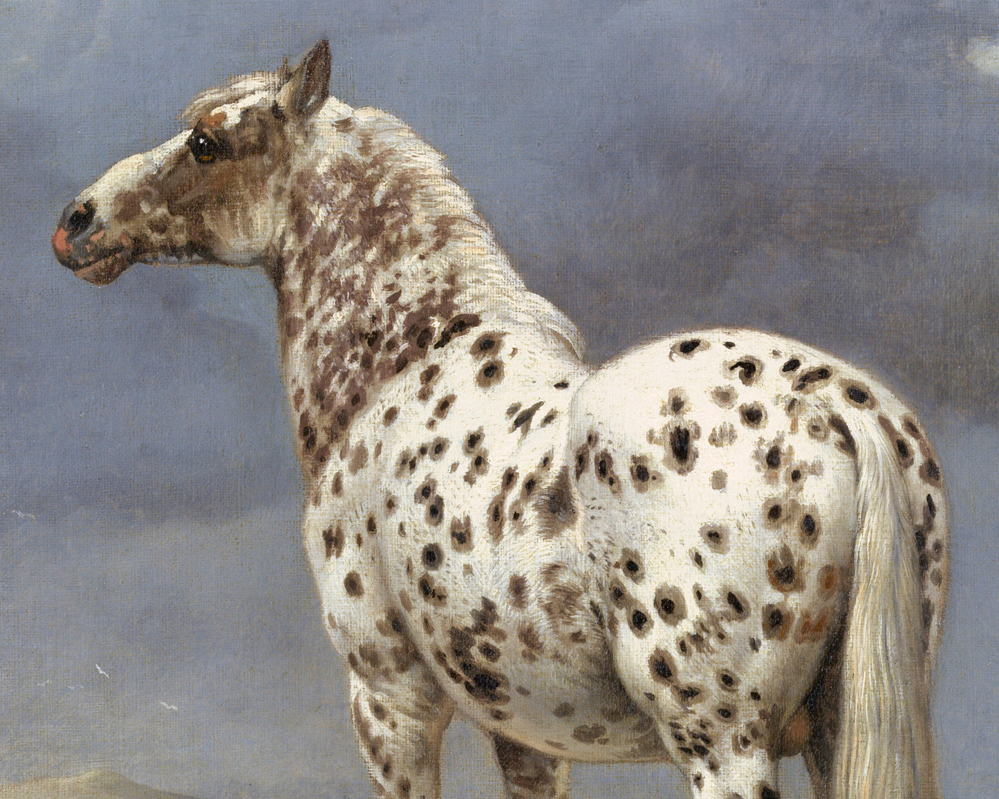 Spotted horse art print | Antique piebald horse | Animal fine art | Vintage equine painting | Horse wall art | Farm and ranch decor