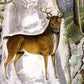 Stag at Echo rock fine art print | Deer, horse and owl painting | Vintage Americana folk art | Wild animal wall art | Primitive art