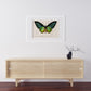 Vintage Butterfly Print