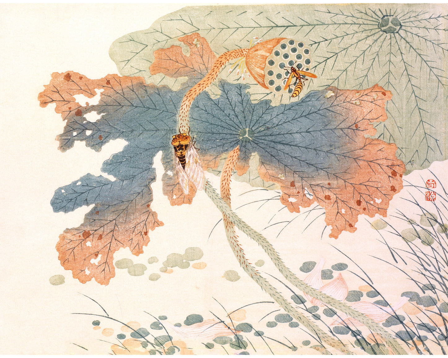 Vintage bees on lotus art | Wasp and cicada on flower | Japanese Natural history wall art | Plant and insect painting | Woodblock print