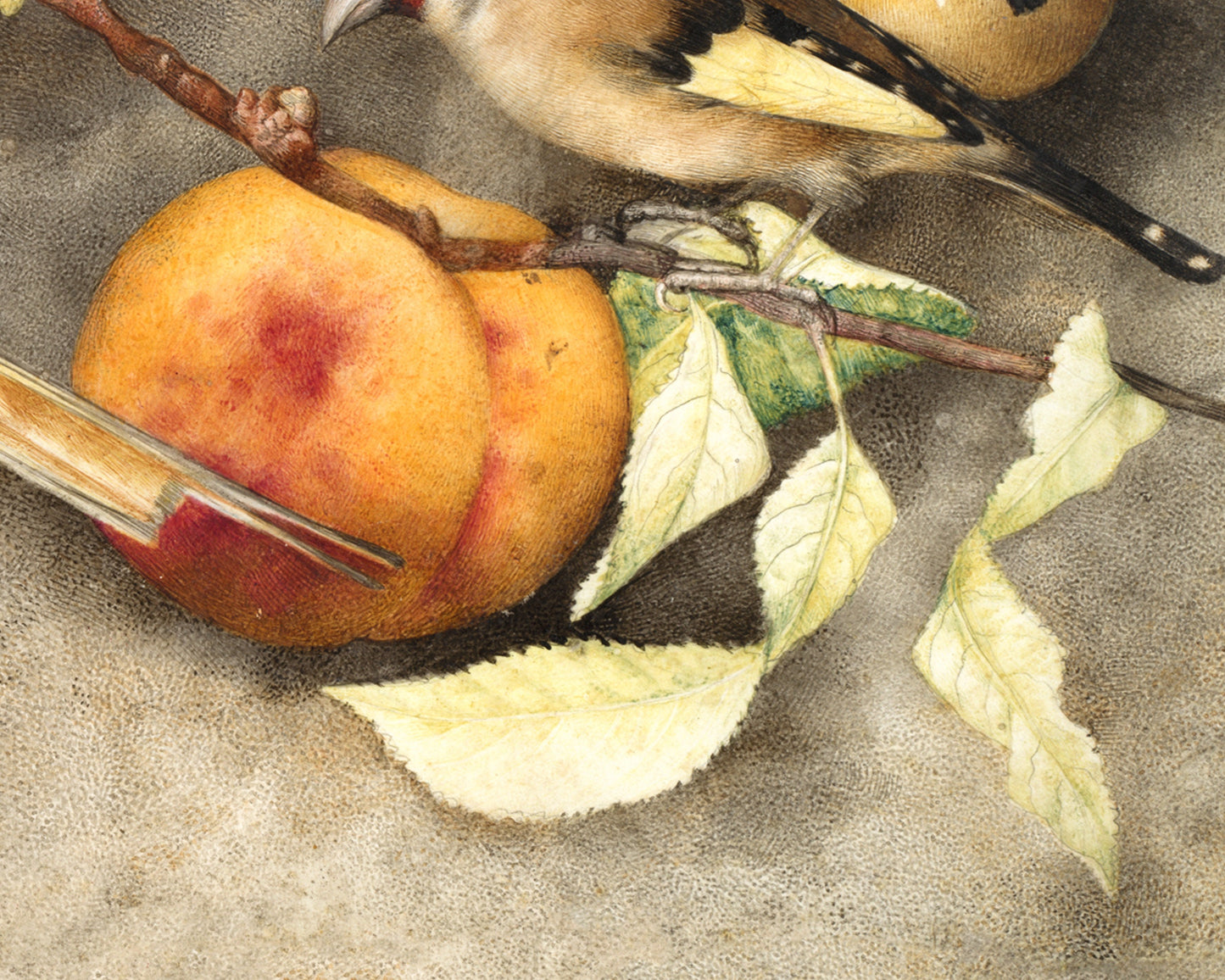 Still life art print | Vintage bird & fruit painting | Animal wall art | Goldfinch, pear, peach, plums | Female artist | Antique Italian art
