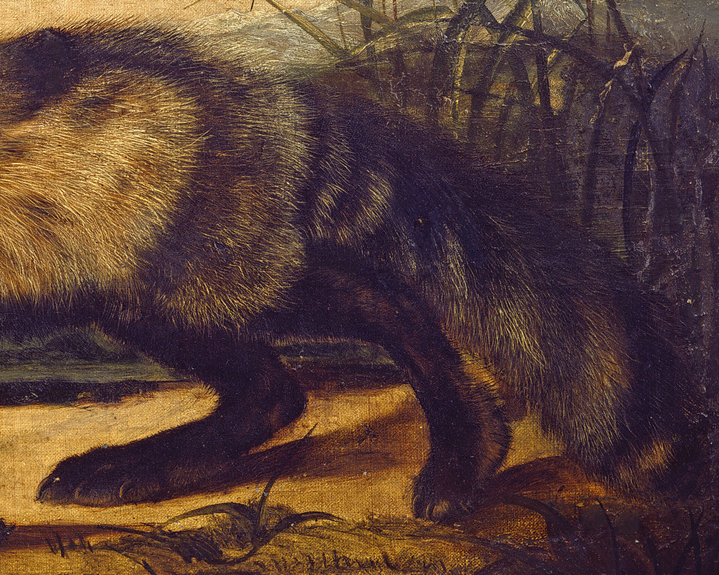 Vintage fox print | John Woodhouse Audubon | Red fox painting | Antique animal art | Woodland wall art | Moody natural history