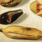 Still life with fruit (with scorpion and frog) by Hermenegildo Bustos (1874)