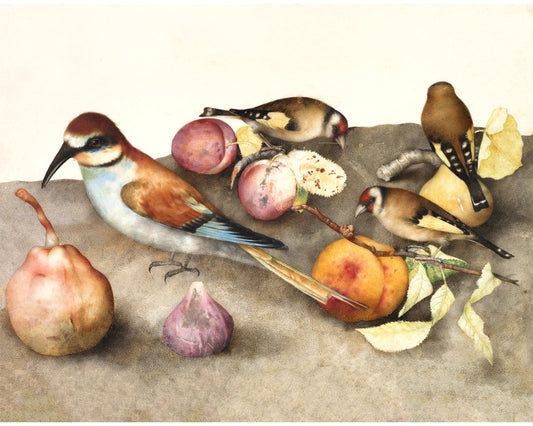 Still life art print | Vintage bird & fruit painting | Animal wall art | Goldfinch, pear, peach, plums | Female artist | Antique Italian art